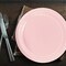 24 Ct. Light Pink Paper Dinner Plates 9" Round Pastel Disposable Plates